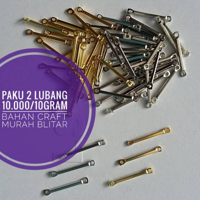 Paku 2 lubang