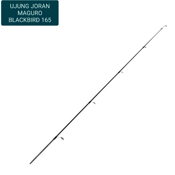 Ujung Joran Maguro Blackbird | Cardinal | Plover | Trogons | Striker | Fairplay | Hattrick