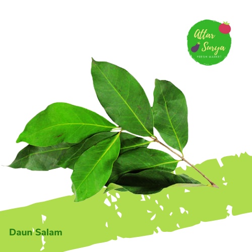 

Daun Salam