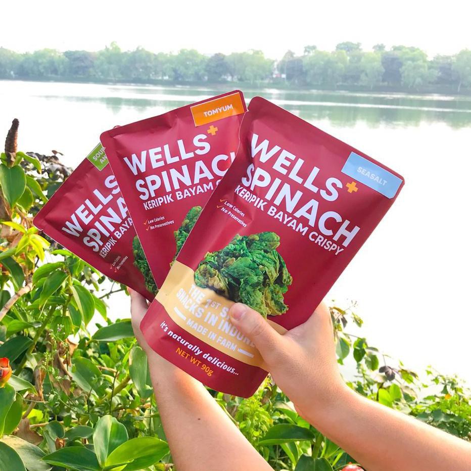 

PROMO 5.5 Healthy Snack Bayam Wells Spinach Crackers Keripik Kerupuk Chips