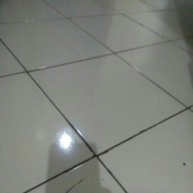 Lunch Box Yooyee Sekat 6 Anti Tunpah Type 589   Yooyee Sekat 6 Lunch Box 5 Pcs Sponge Spon