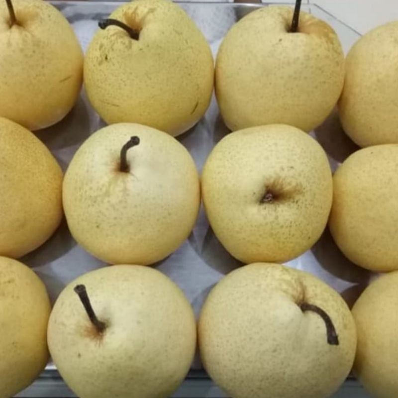 

pir madu 1kg