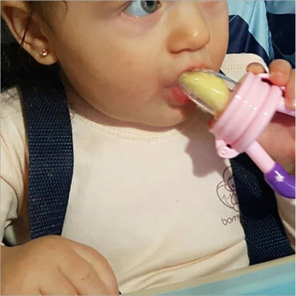 Dot Empeng Buah untuk Bayi Balita / baby Fruit Feeder Silicone Food Grade  L3,21-24 -AHM100-8