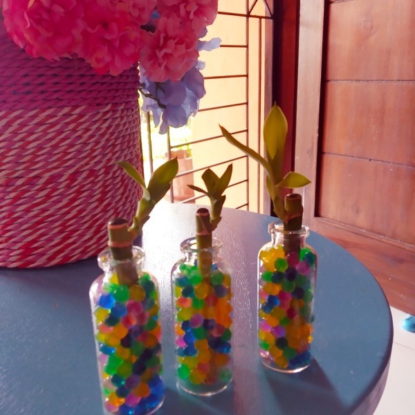 Souvenir hidrogel bambu hoki sovenir lucu hiasan unik kamar rumah bamboo cina rejeki sukulen ecer