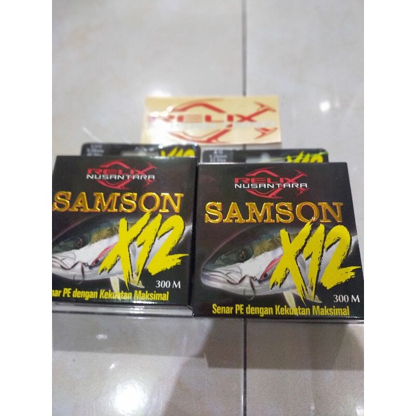 PE Samson X 12 300 meter