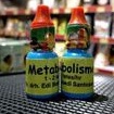 Metabolisme dr edi asli metabolis bisa semua burung