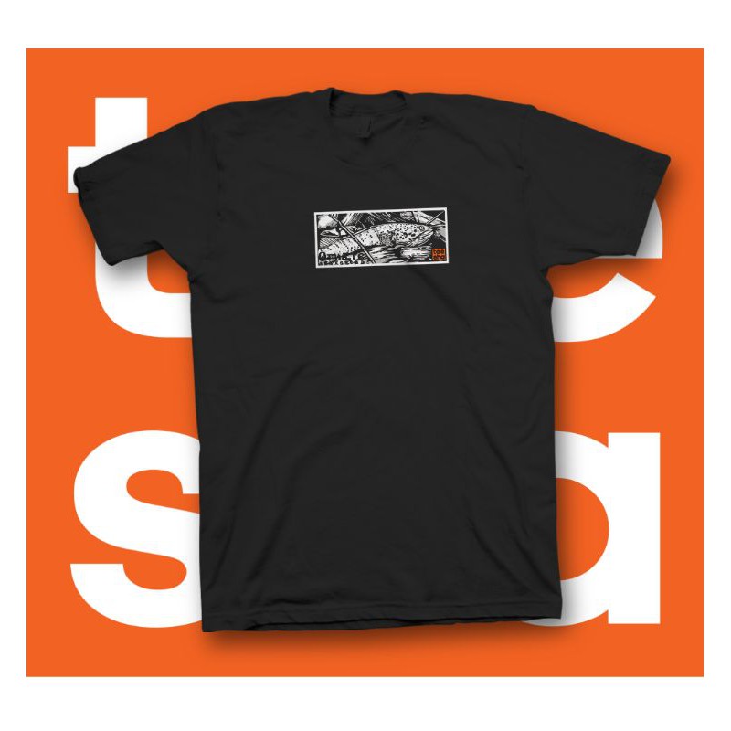 kaos snakehead channa ornatipinnis