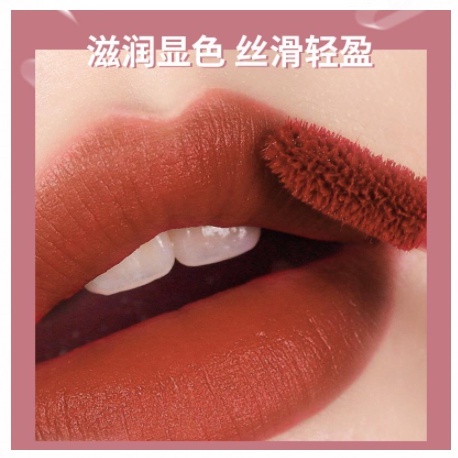 Lameila Lip Glaze Matte Lipstick Anti Air Velpet Lip Gloss By Aurora 1041