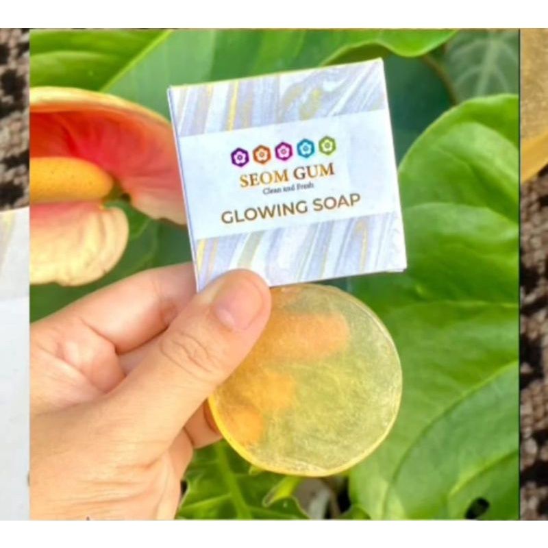 SABUN SEOM GUM PAKET USAHA
