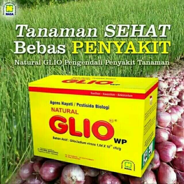 GLIO / NATURAL GLIO NASA