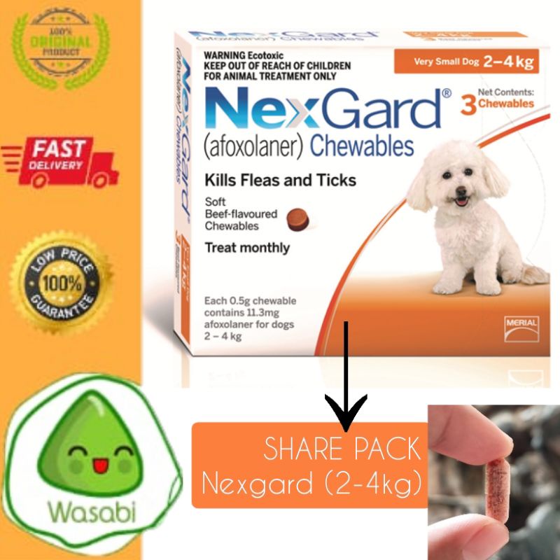 ORIGINAL REPACK Nexgard Small Dog 2-4kg obat kutu anjing kecil