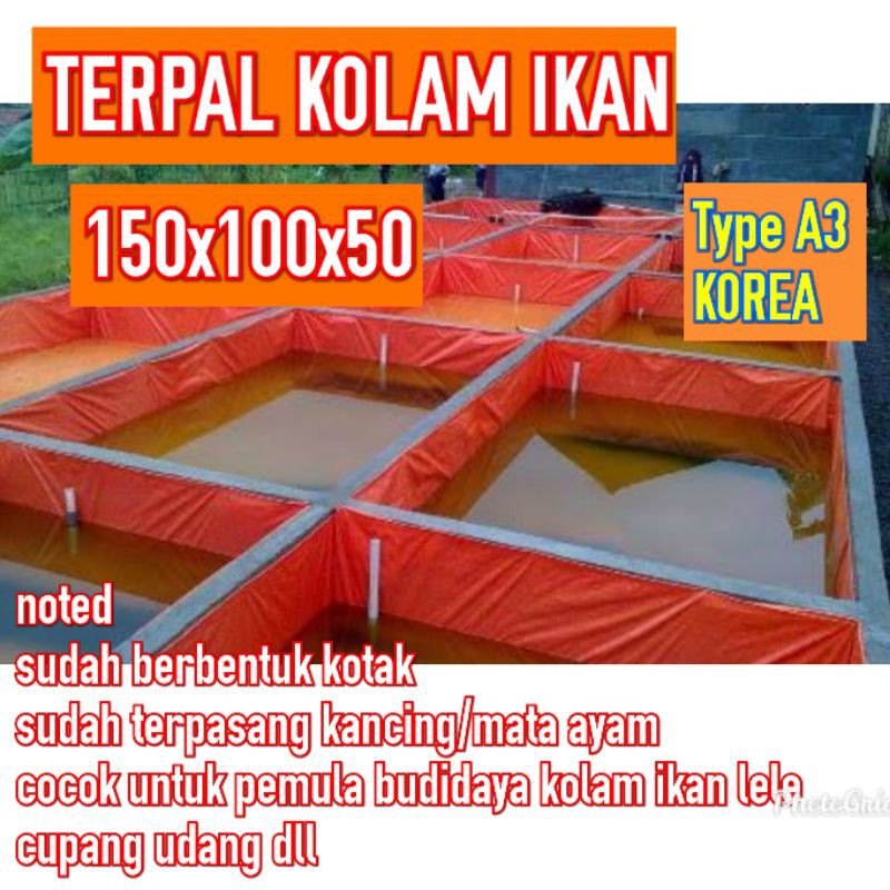 kolam ikan cupang ikan lele ikan nila kolam terpal