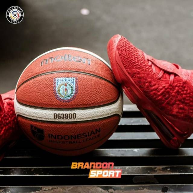 Bola Basket Molten BG 3800