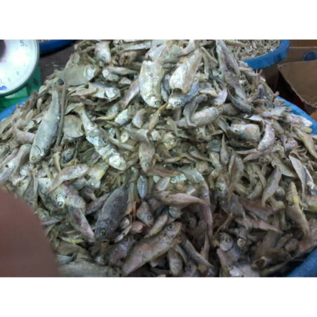 

Ikan Teri Asin Sampah