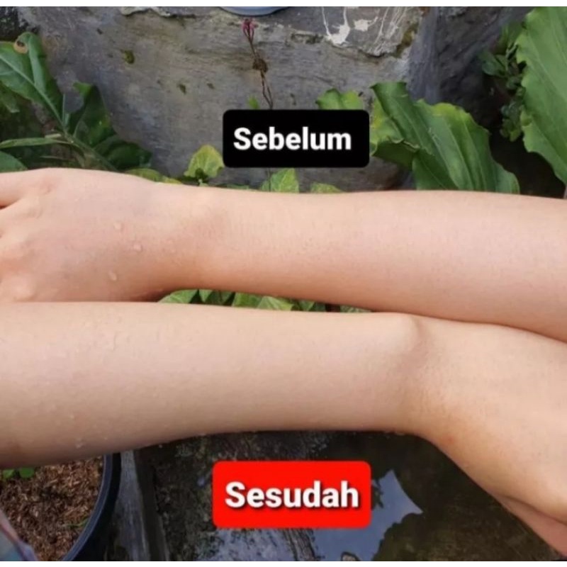 LULUR REMPAH KAYU BANGKAL / LULUR PEMUTIH / KAYU BANGKAL / LULUR VIRAL / LULUR ORGANIK PEMUTIH-4