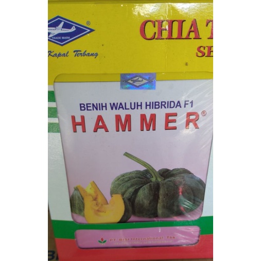 BENIH WALUH HAMMER 10 GRAM