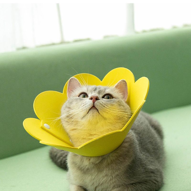 PH.Medan Pet Protection Collar Colar Anjing Kucing Pelindung Penutup Leher