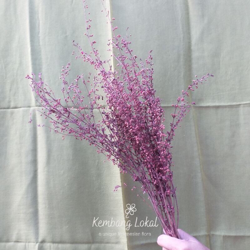 Dried menir