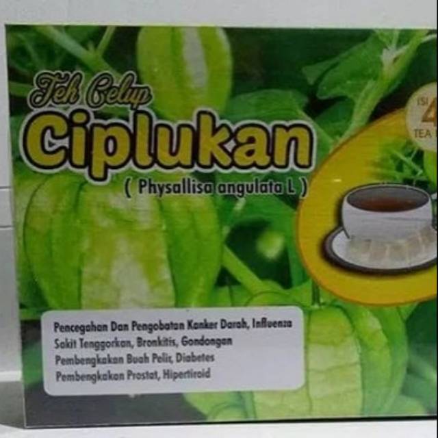 

Teh celup ciplukan