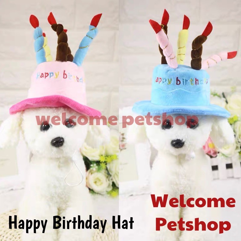 Topi Happy Birthday / Topi Ulang Tahun Hewan / Topi Kucing / Topi Anjing / Topi Hewan
