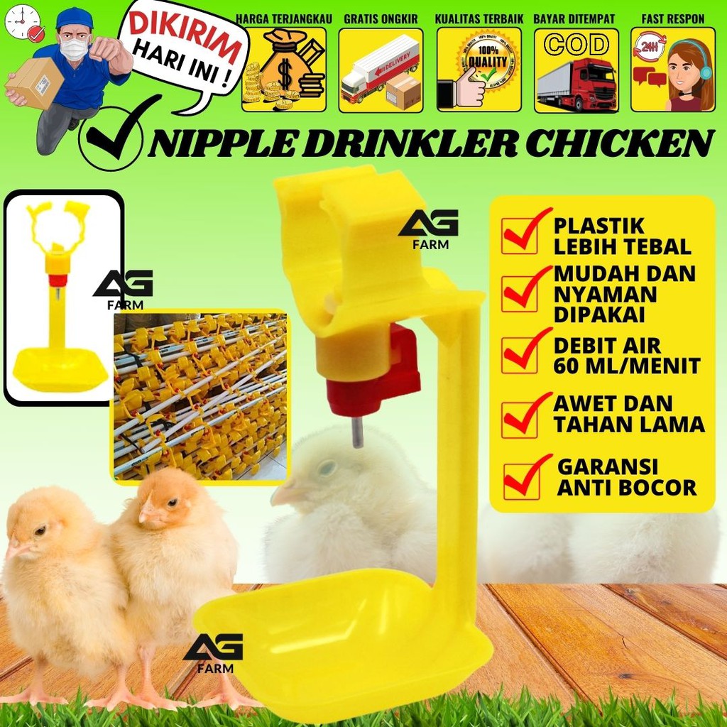 Nipel Broiler Kuning Nipple Ayam Pedaging AYAM PETELUR A5 AG FARM