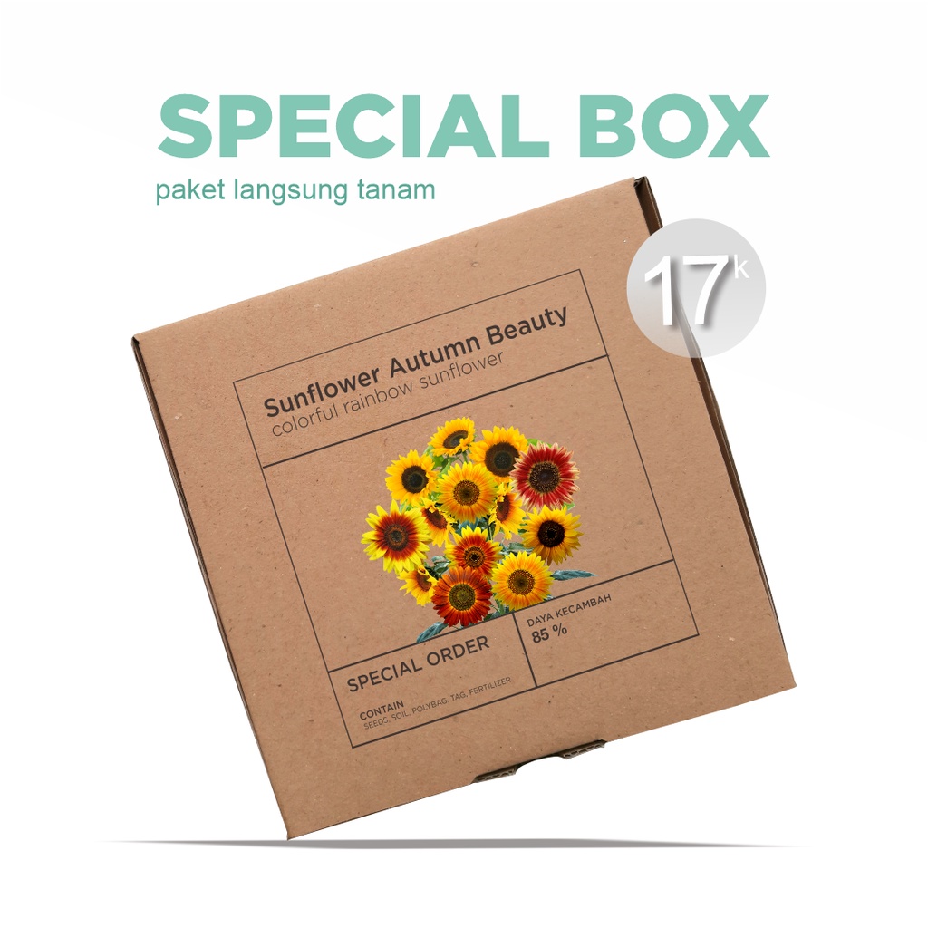 Paket Langsung Tanam - Gardening Kit - SPECIAL BOX - Benih Sunflower Autumn Beauty Bunga Matahari Rainbow Seeds