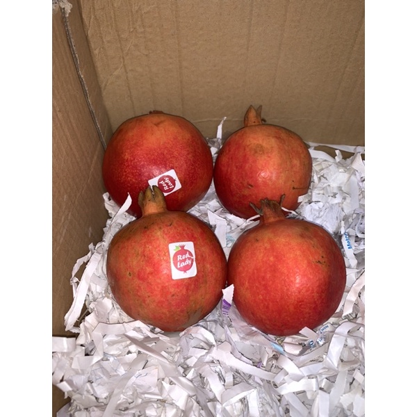 BUAH DELIMA | DELIMA SUPER (1 BUAH)