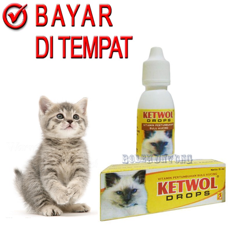KETWOL VITAMIN PENUMBUH BULU KUCING RONTOK PITAK BOTAK