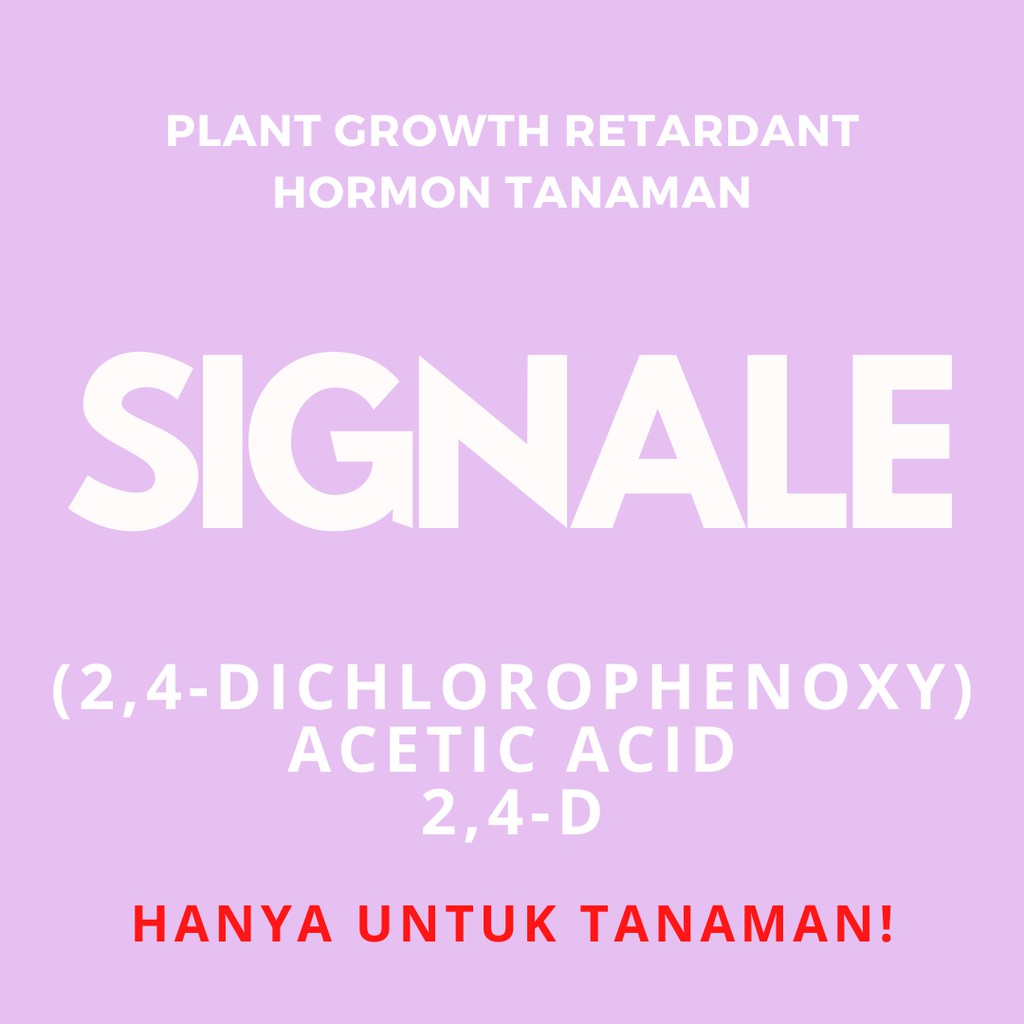 SIGNALE - 2,4 - D Plant Growth Regulator Hormon Tanaman 100ml