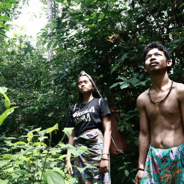 Kaos Sokola Rimba hitam