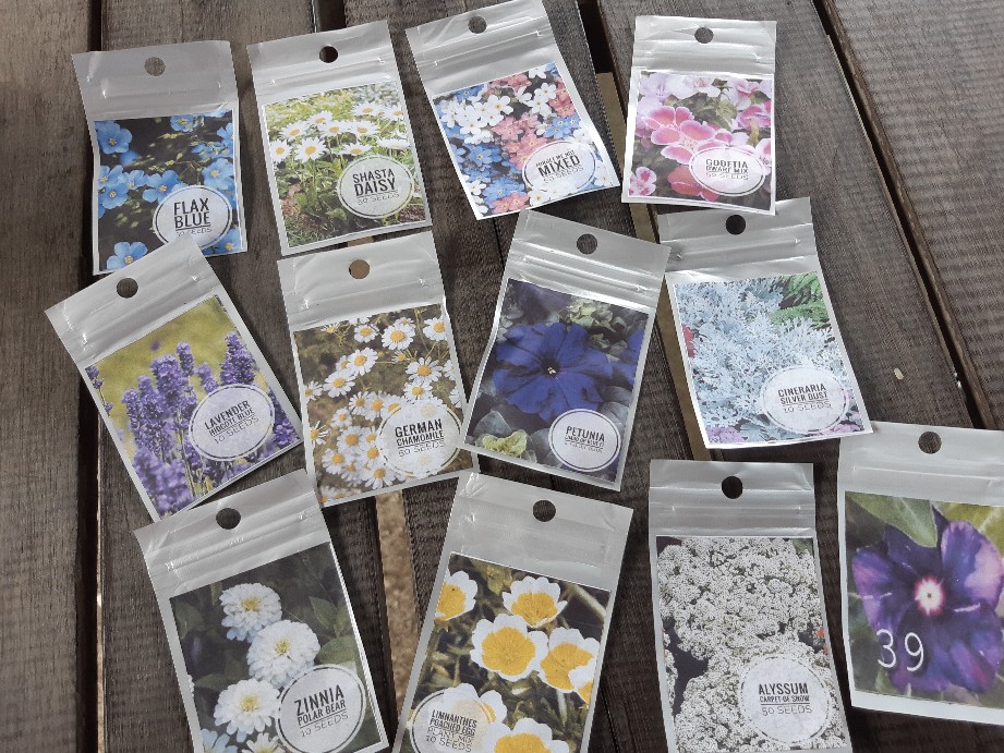 Lavender Hidcote Blue 10 Biji (benih Biji Bibit Tanaman Bunga)