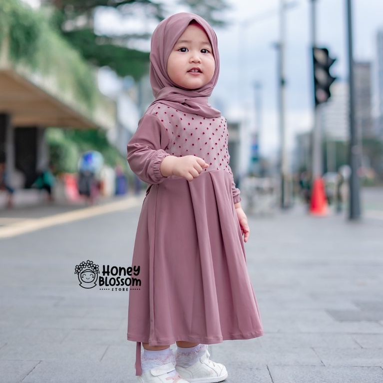 HONEYBLOSSOM gamis bayi / gamis bayi perempuan 0 6 bulan / gamis bayi perempuan alesha