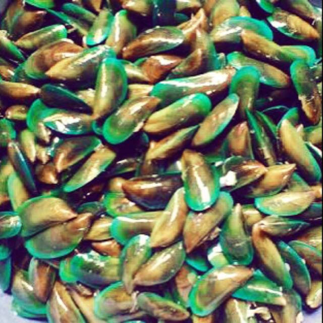 

Kerang Hijau Beku perbungkus