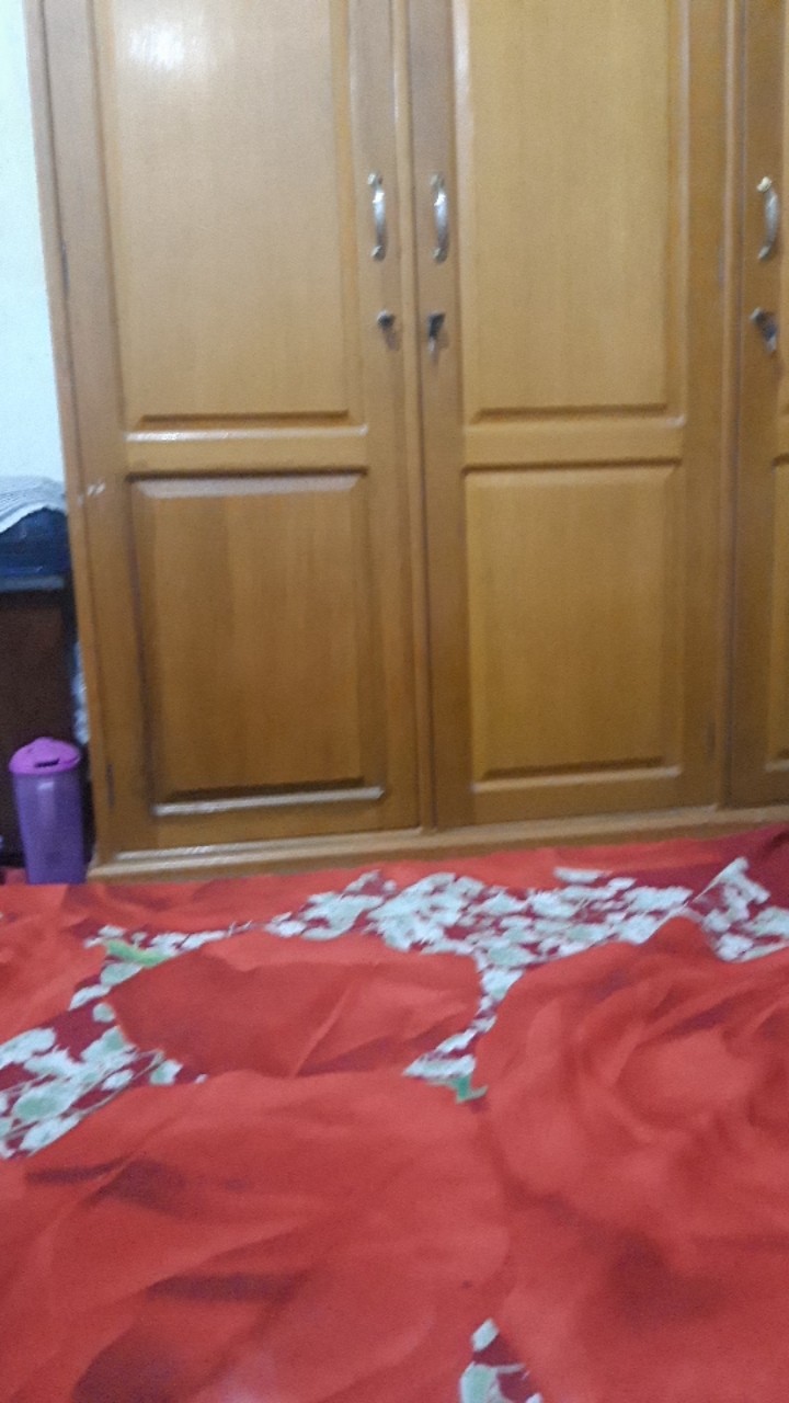 Aneka Cetakan Kue Kering