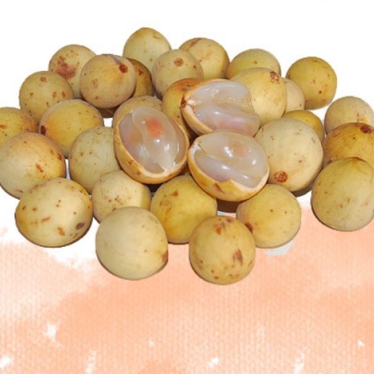 

DUKU PALEMBANG PER 1KG FRESH & MANIS