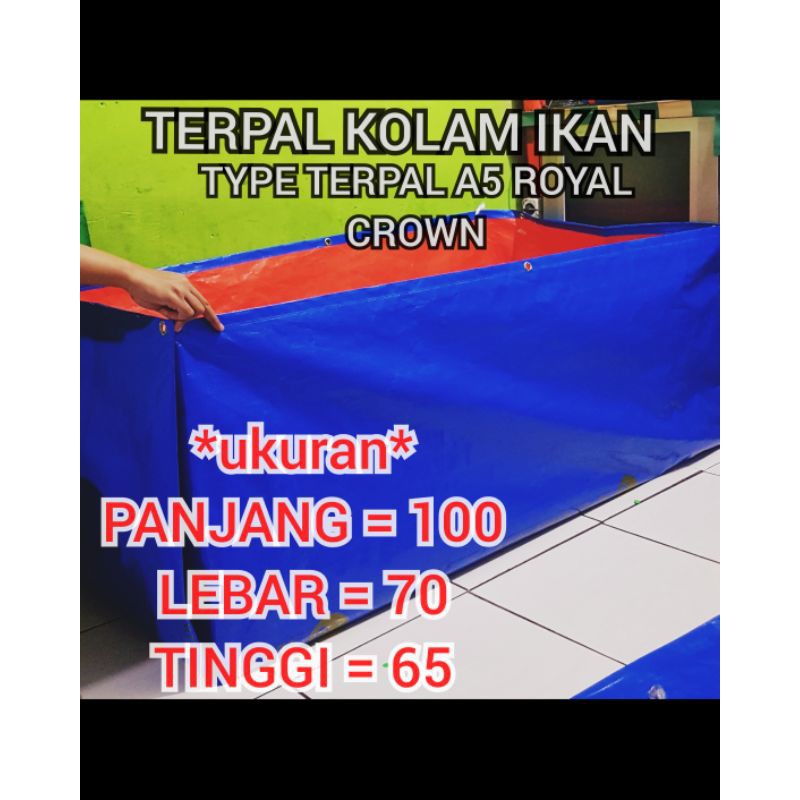 TERPAL KOLAM IKAN 100X70X65 TYPE TERPAL A5 ROYAL CROWN