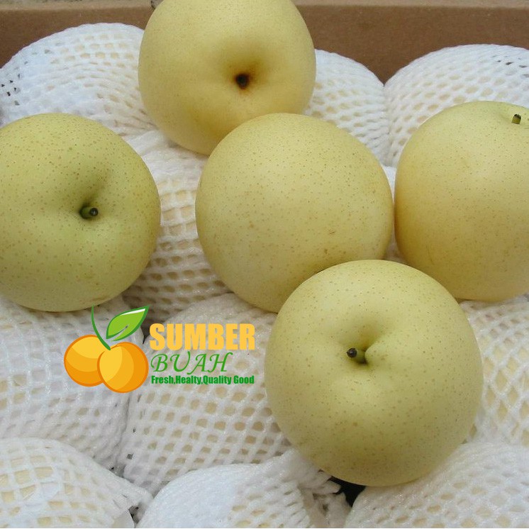 

PIR MADU SEGAR 1000 GRAM SUMBER BUAH