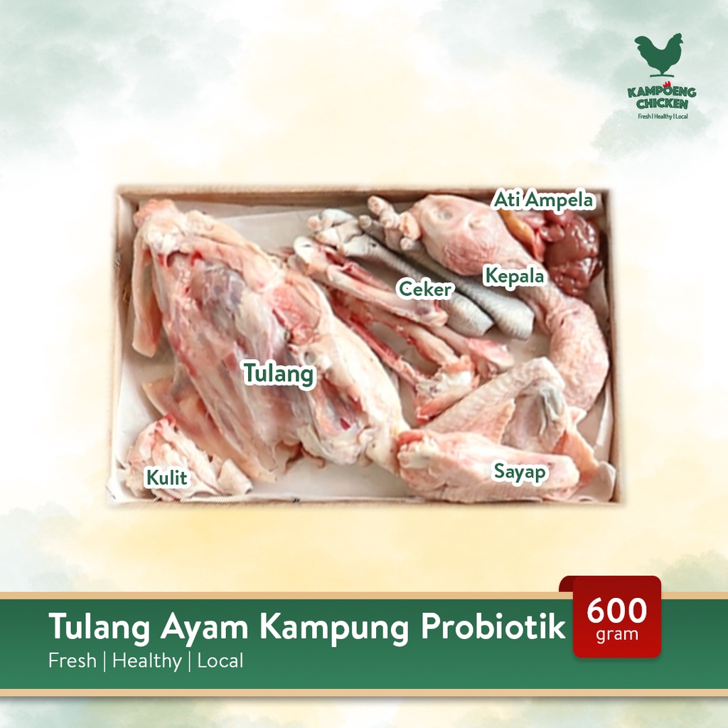 

Tulangan Ayam Kampung Probiotik Halal Sehat Cocok untuk Kaldu Tulang MPASI