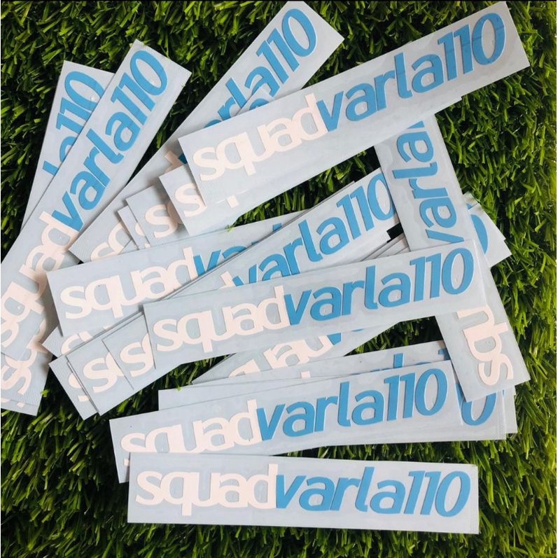 Sticker cutting VARIO KARBU 110/SQUADVARLA110