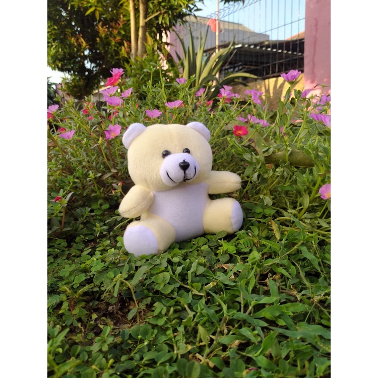 Boneka teddy bear mini / souvenir wisuda / boneka bucket / parcel boneka teddy bear 14cm