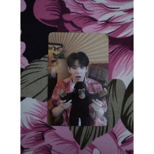 wonpil boneka monyet pc (baca deskripsi)