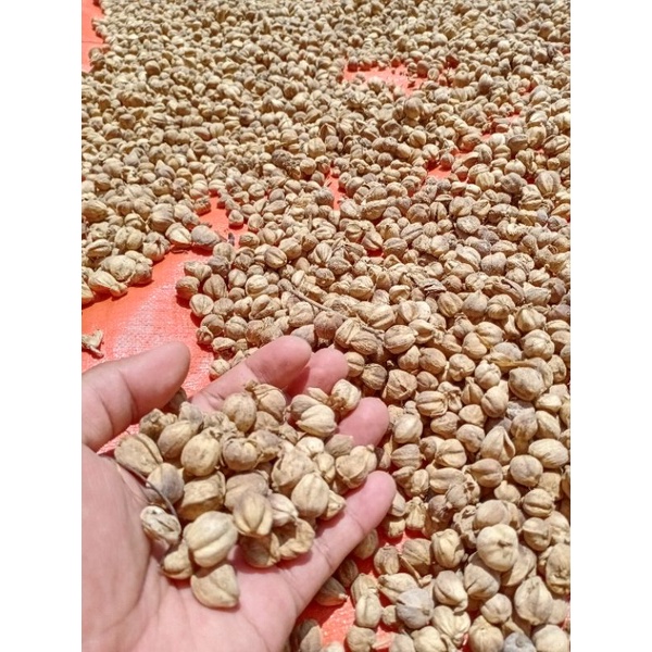 

1kg kapulaga/ kapolaga Original Premium Quality tanpa pemutih