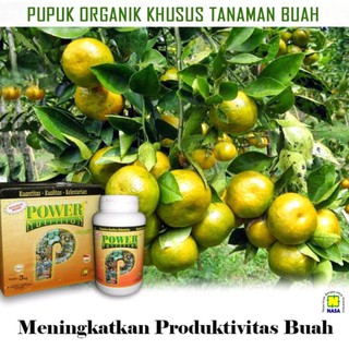 PUPUK BUAH  TERBAIK PELEBAT BUAH  ANTI RONTOK BUNGA BUAH  