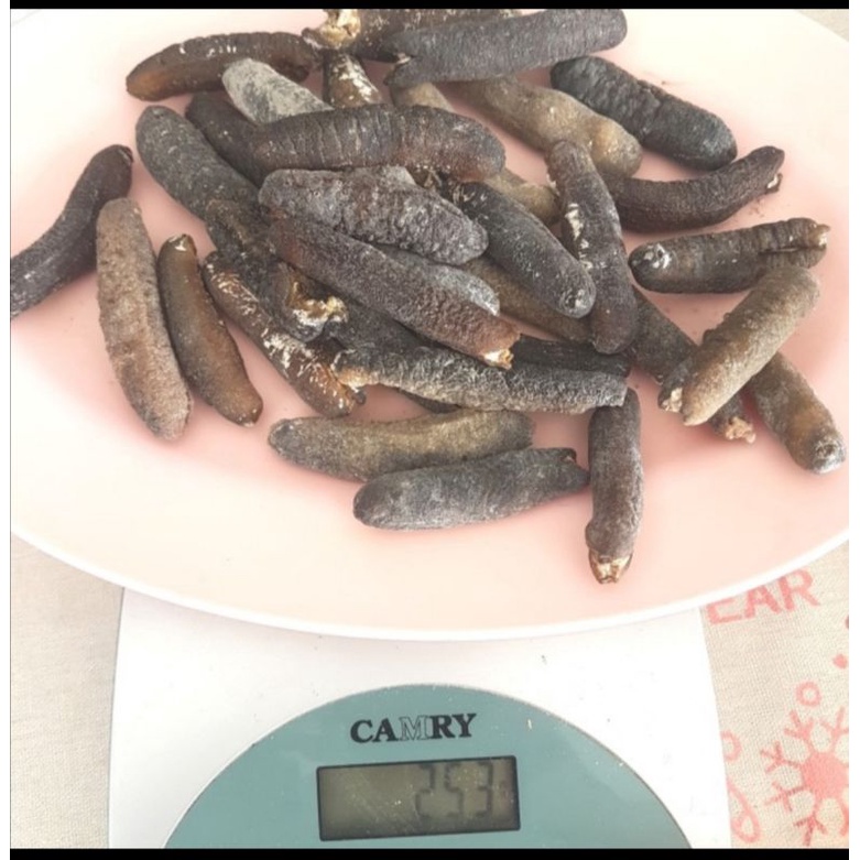 

TERIPANG GOSOK KECIL UKURAN 35-45 PCS / 250 GR