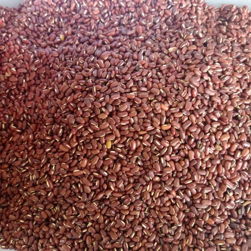 

kacang halio 500 gram