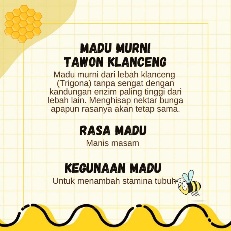 Madu Murni Lebah Klanceng Trigonakelulut 100% ORIGINAL Peternakan tawon rimba raya