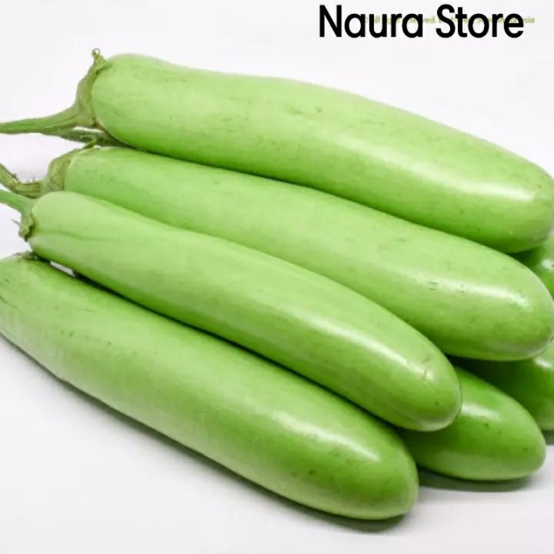 

sayur terong segar ecer/berbiji
