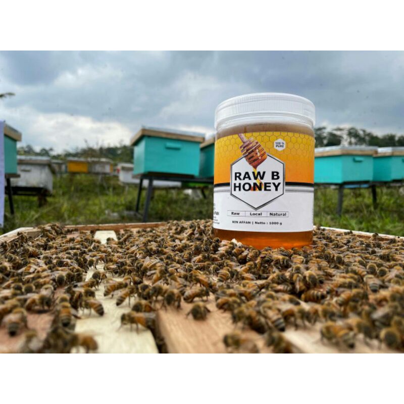 

Madu Murni Raw Honey | Madu 100% Murni