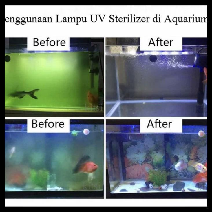 Lampu Uv Aquarium Yamano 7 Watt Pembasmi Lumut