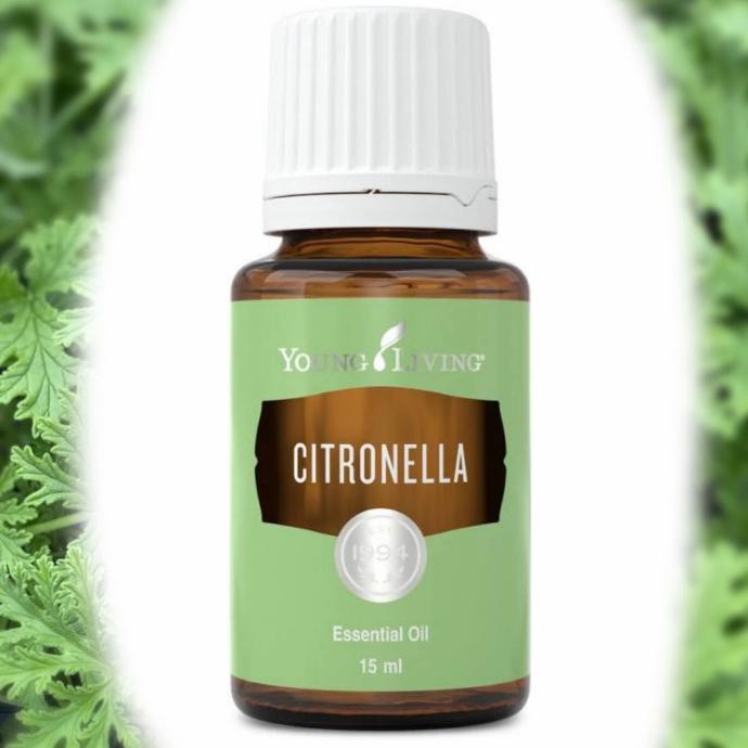 Citronella Young Living Essential Oil Benaryos